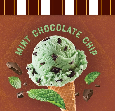 Dreyers™/Edy’s® Mint Chocolate Chip