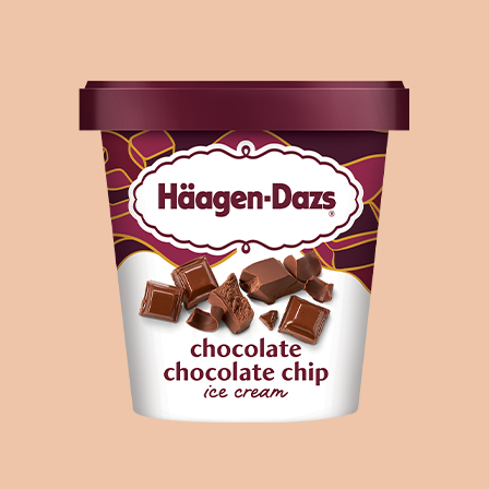 Chocolate Chocolate Chip Ice Cream 3.6 oz, 14 oz