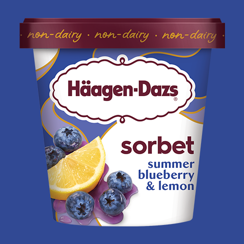 Summer Blueberry & Lemon Sorbet 14 oz